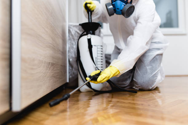 Best Best Pest Control Near Me  in Portola, CA