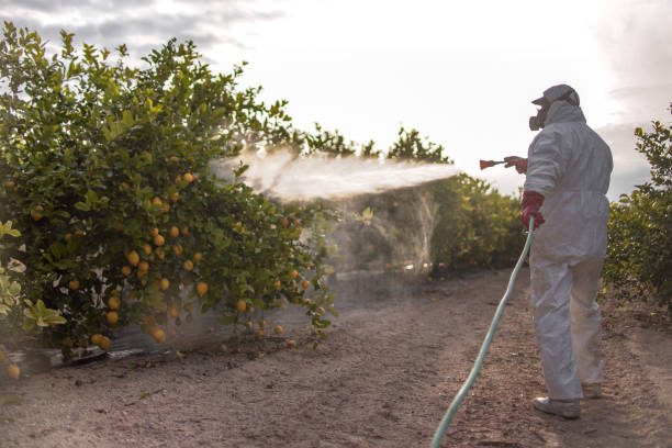 Pest Control Cost in Portola, CA