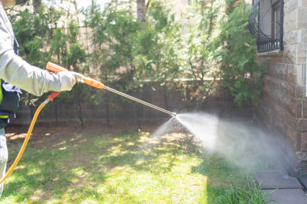 Best Residential Pest Control  in Portola, CA