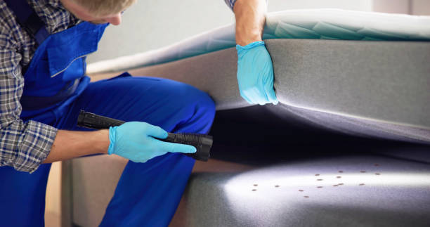 Best Local Pest Control Services  in Portola, CA
