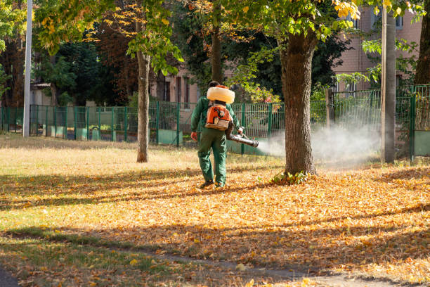 Reliable Portola, CA Pest Control Solutions