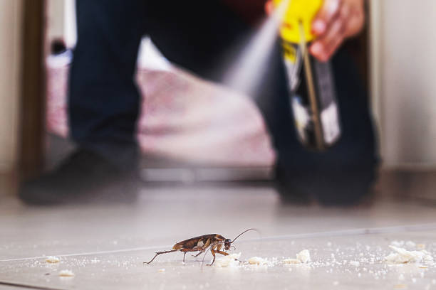 Best Pest Control Near Me  in Portola, CA