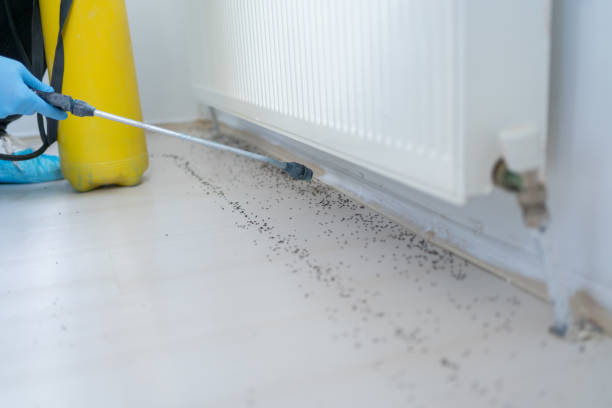 Best Pest Inspection Near Me  in Portola, CA