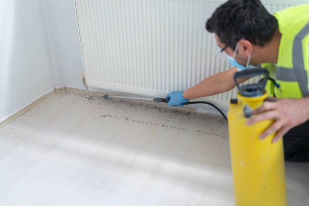 Best Commercial Pest Control Services  in Portola, CA