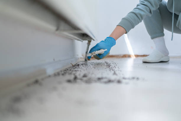 Best Pest Control Near Me in Portola, CA